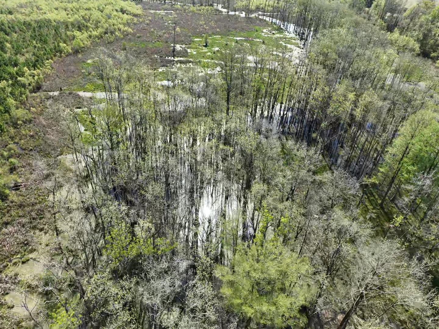 Rocky Ford Road Salters, SC 29590 - Photo 10 of 18