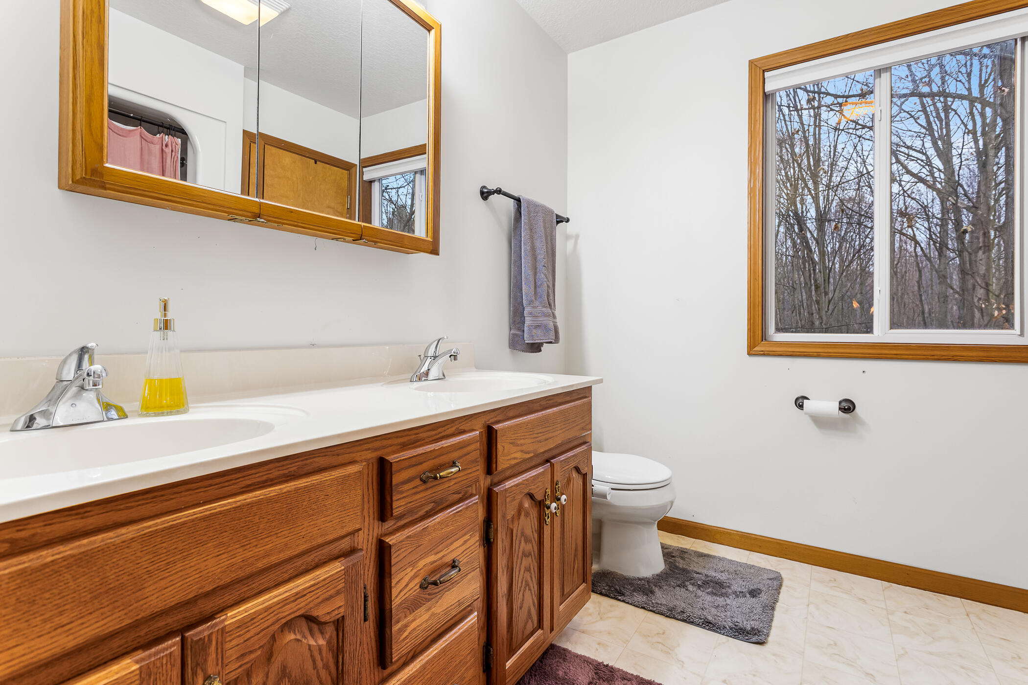 10798 East Remus Road Mount Pleasant, MI 48858 - Photo 16 of 39 10798 E Remus Road_4