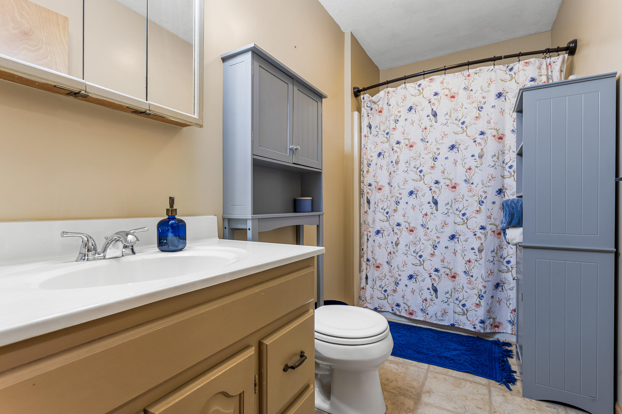 10798 East Remus Road Mount Pleasant, MI 48858 - Photo 19 of 39 10798 E Remus Road_12