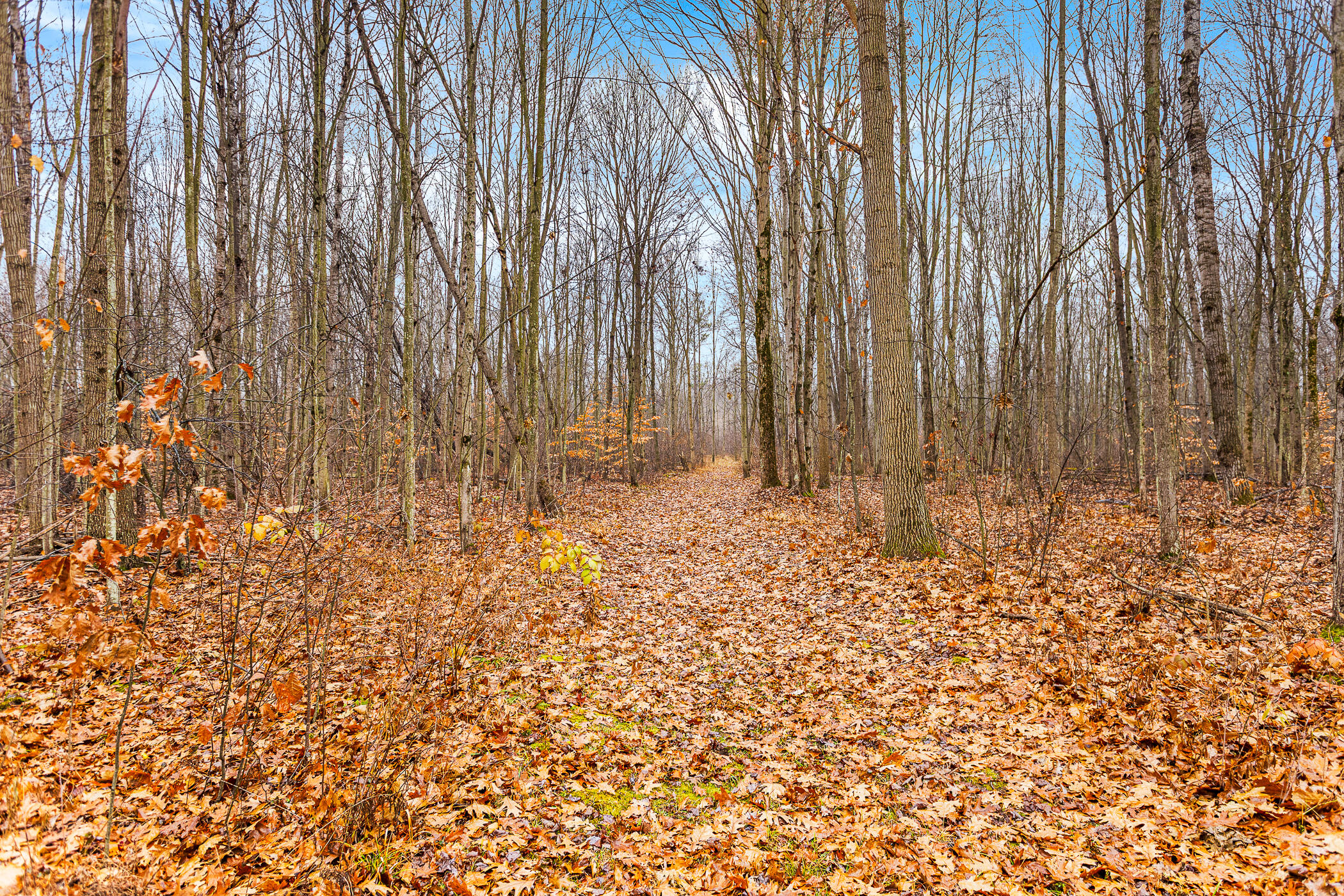 10798 East Remus Road Mount Pleasant, MI 48858 - Photo 24 of 39 10798 E Remus Road_29