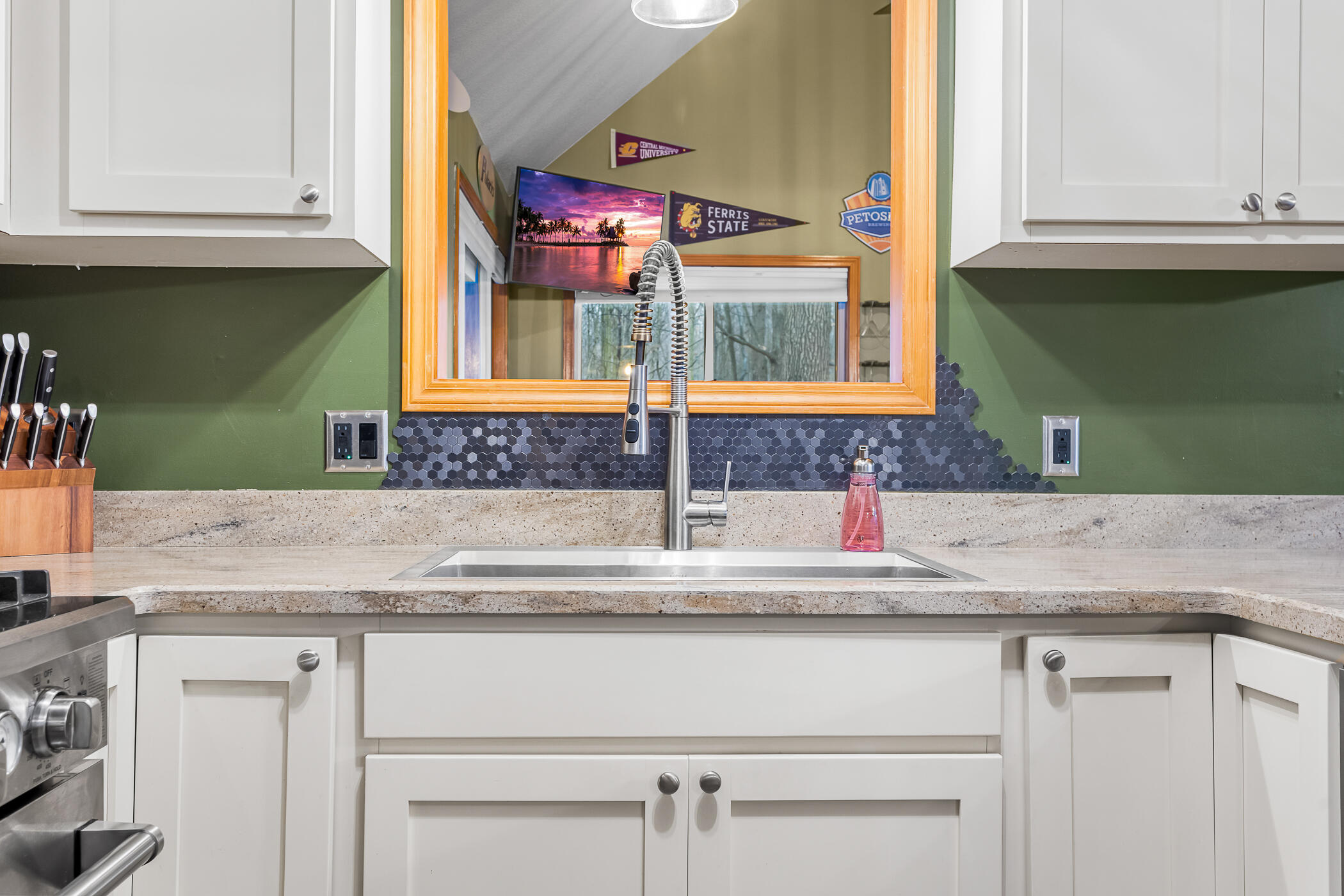 10798 East Remus Road Mount Pleasant, MI 48858 - Photo 5 of 39 10798 E Remus Road_16