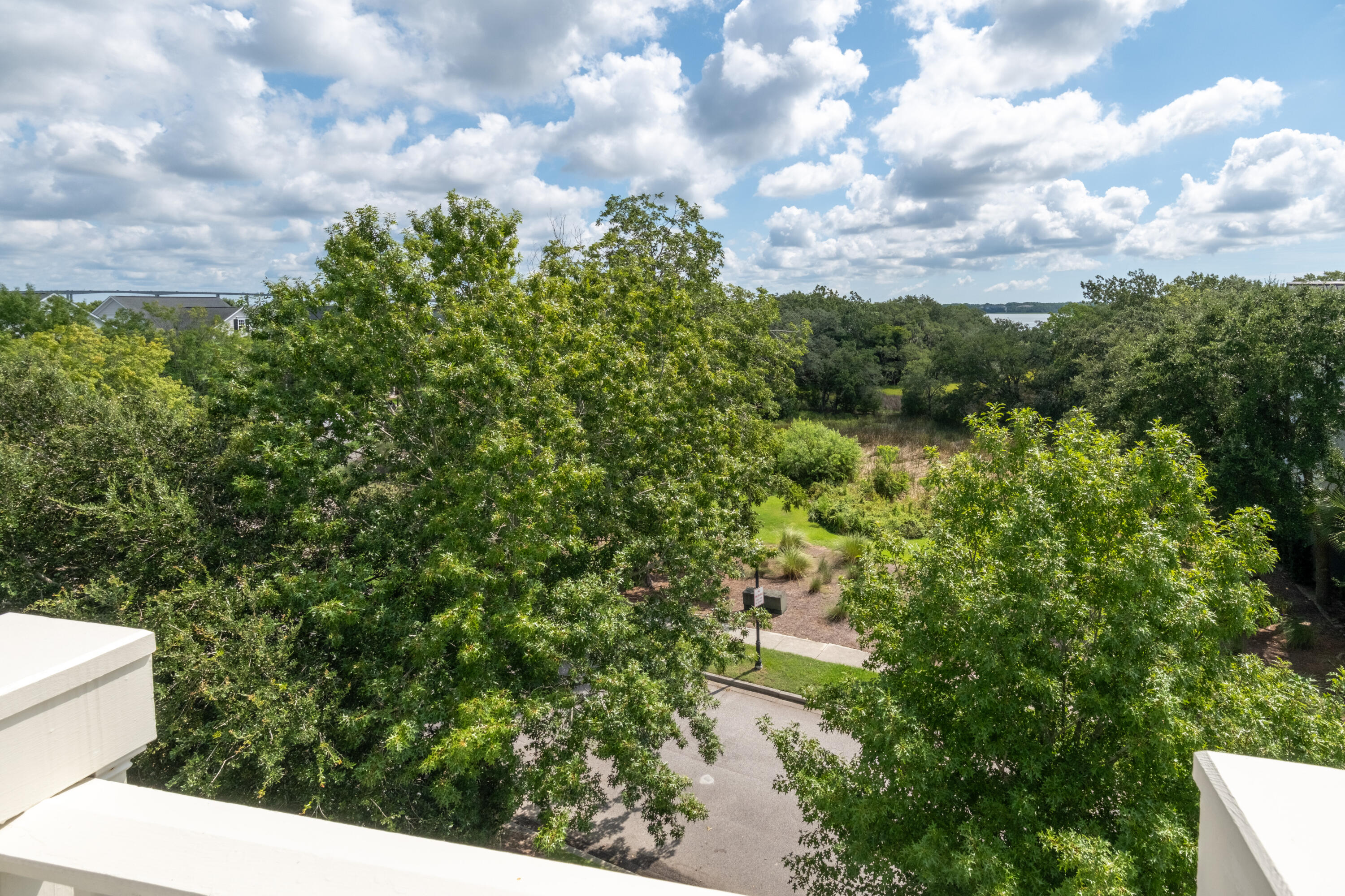 1431 Wando View Street Charleston, SC 29492 - Photo 53 of 93 1431 Wando View St_Eterna_Media-60