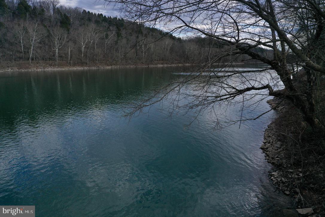 Trees Bottom Road Martinsburg, WV 25404 - Photo 7 of 14 Gallery Image 7