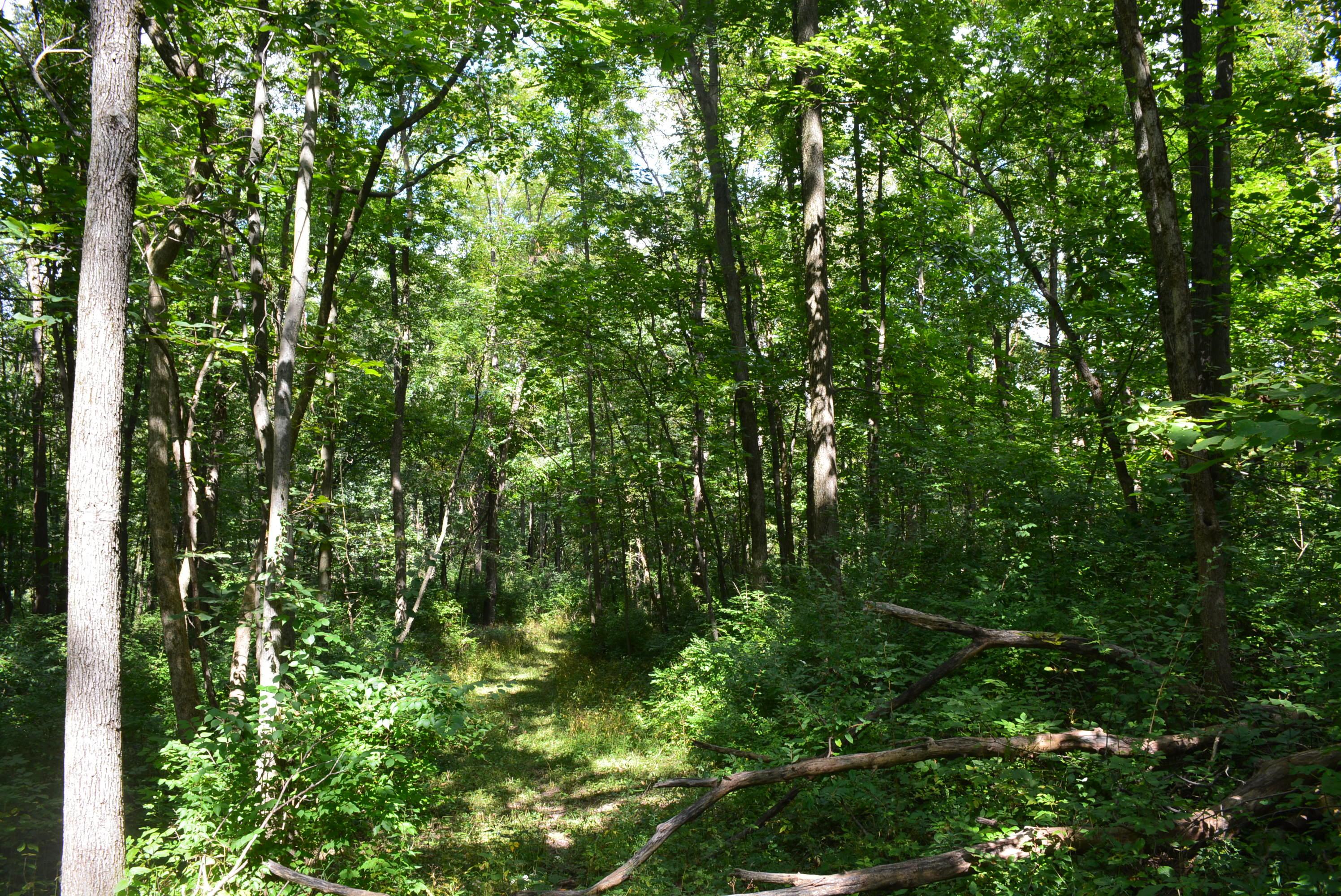 0 Gray Road Cable, OH 43009 - Photo 12 of 17
