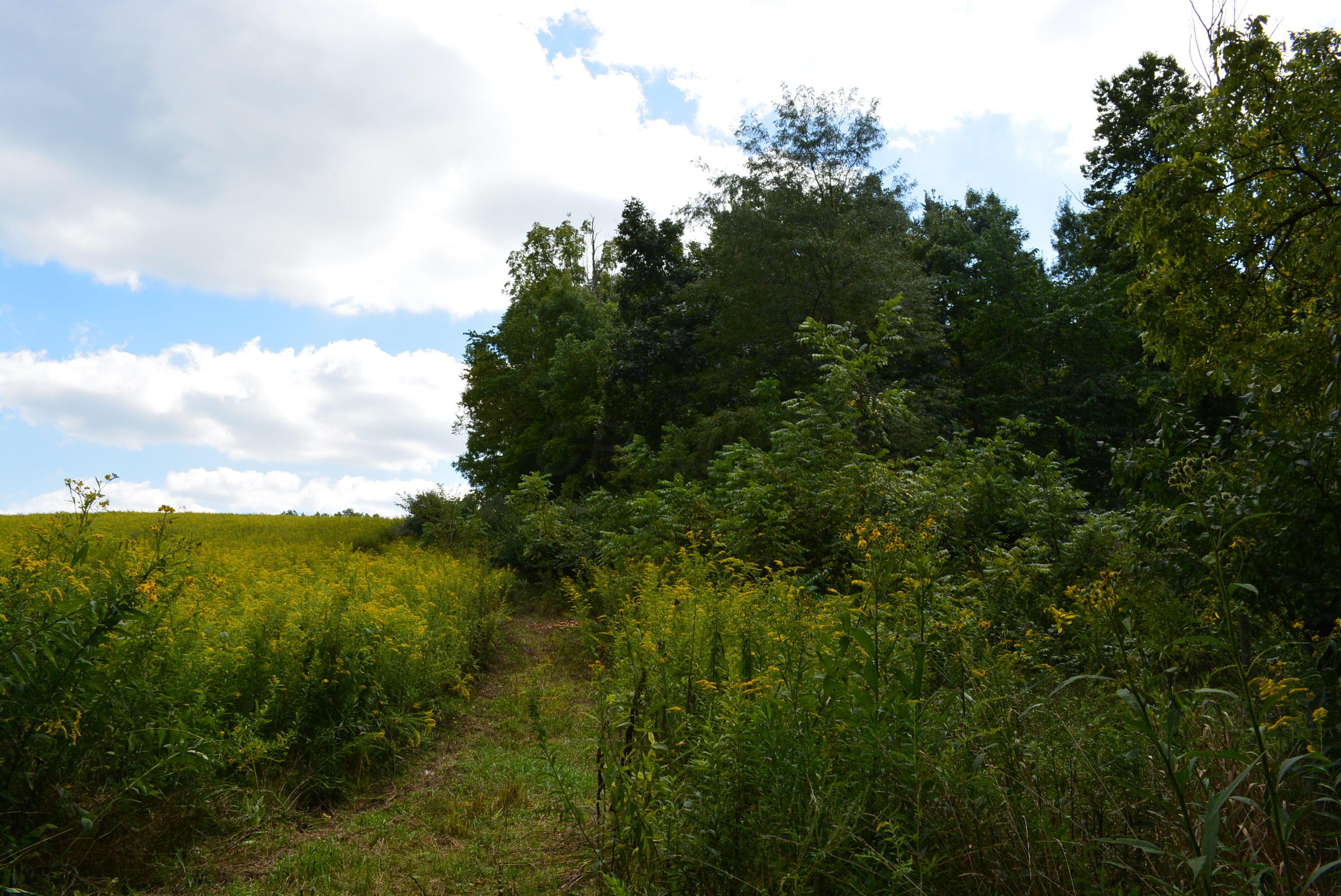 0 Gray Road Cable, OH 43009 - Photo 2 of 17