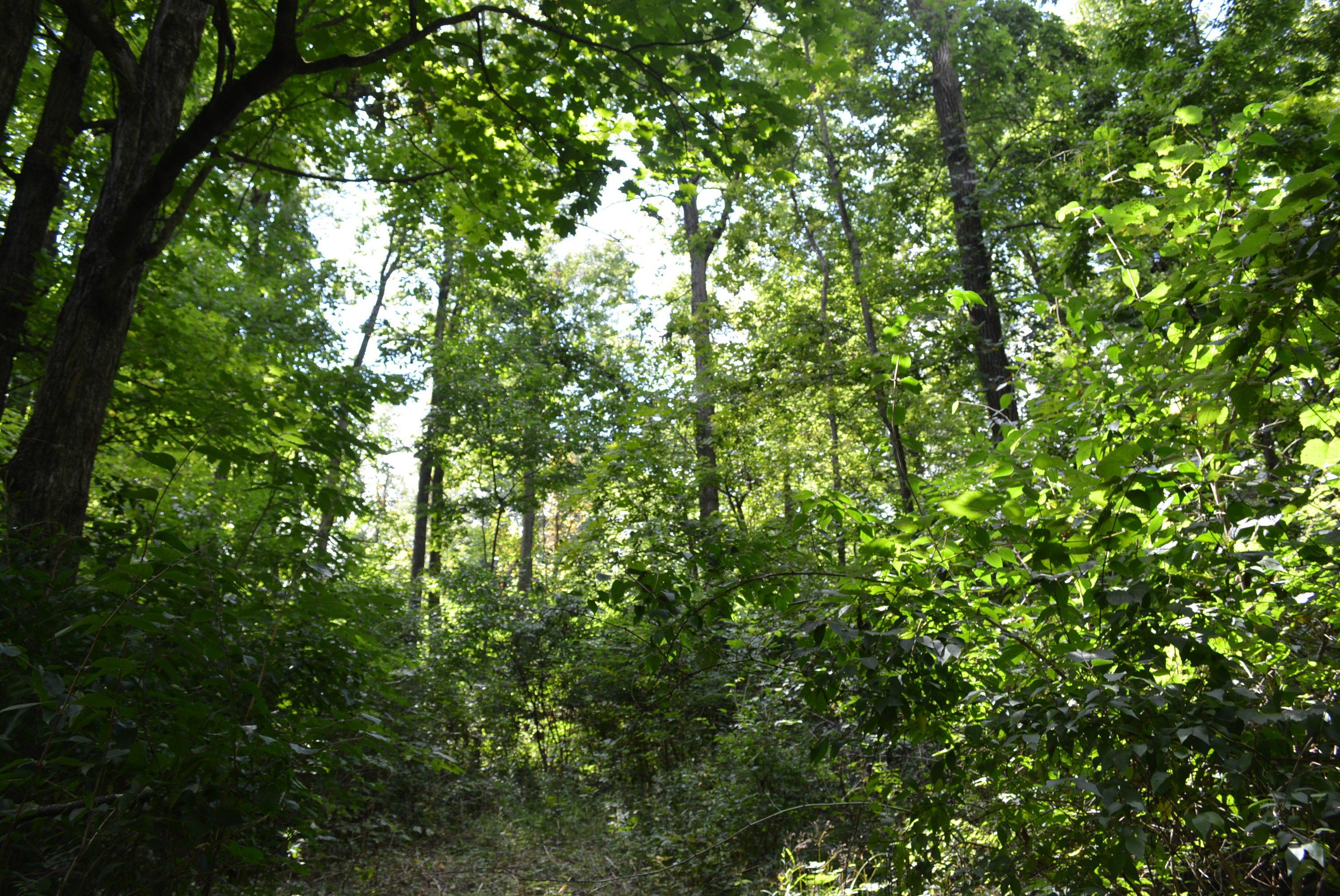 0 Gray Road Cable, OH 43009 - Photo 10 of 17
