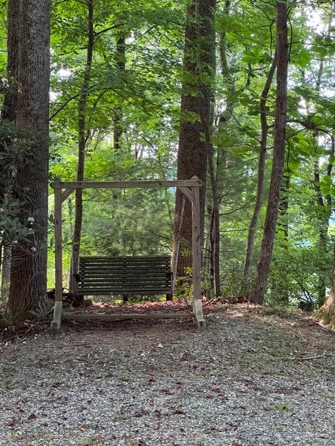 190 Wagon Ridge Lane Ferguson, NC 28624 - Photo 11 of 43 Gallery Image 11