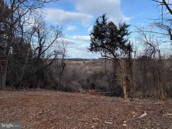 a view of backyard with large trees