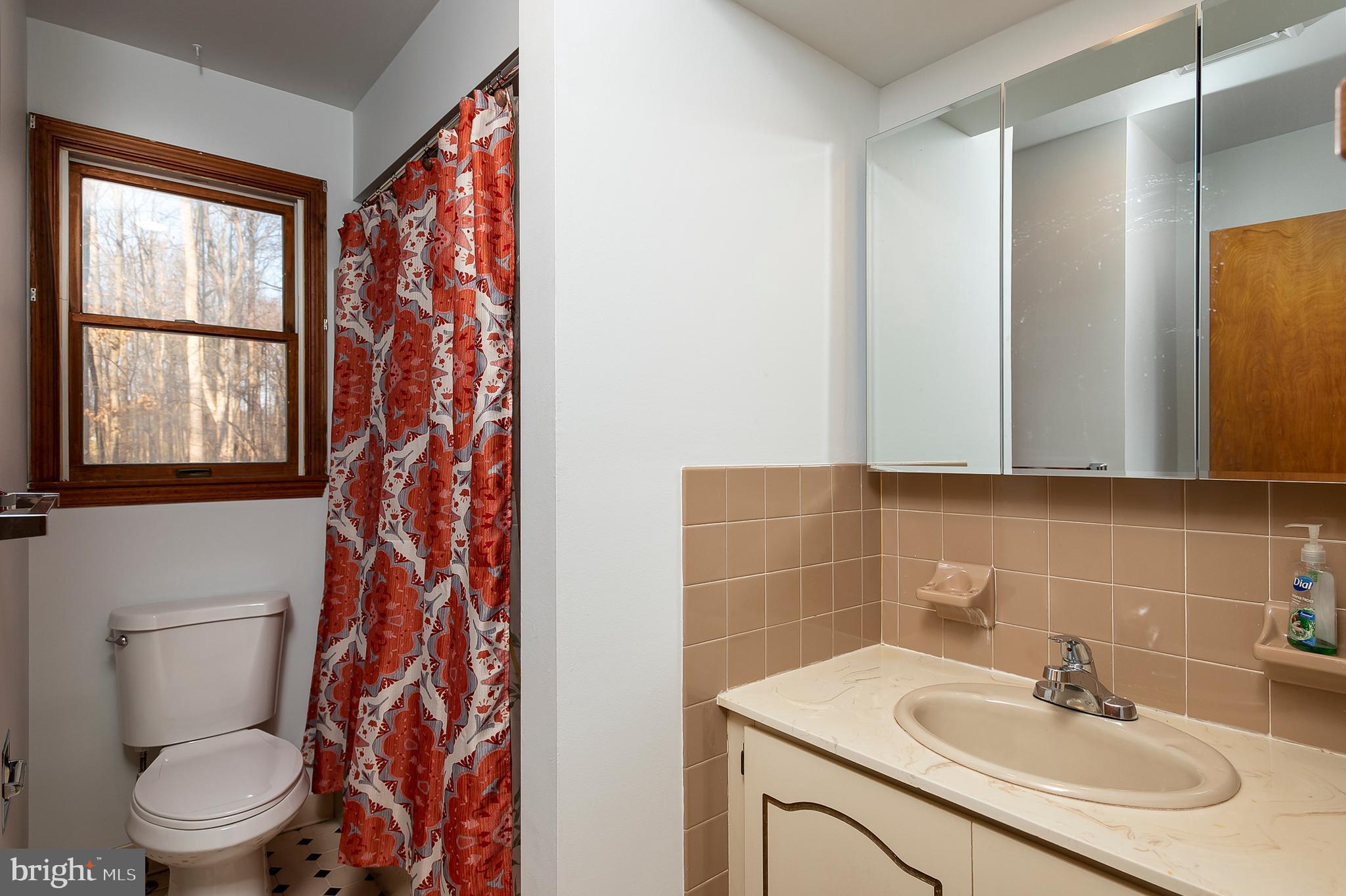 4437 Roop Road Mount Airy, MD 21771 - Photo 18 of 32 Bath