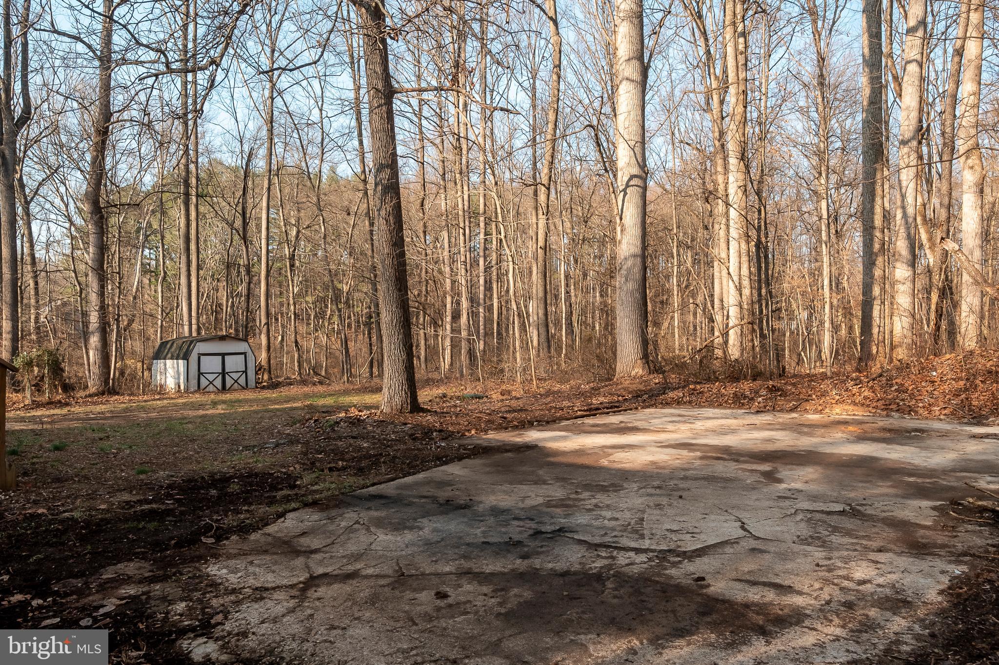4437 Roop Road Mount Airy, MD 21771 - Photo 29 of 32 Back Yard