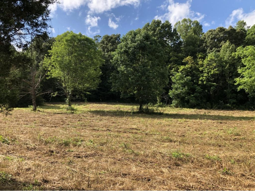 0 Long Creek Road Del Rio, TN 37727 - Photo 1 of 24 Photo 1