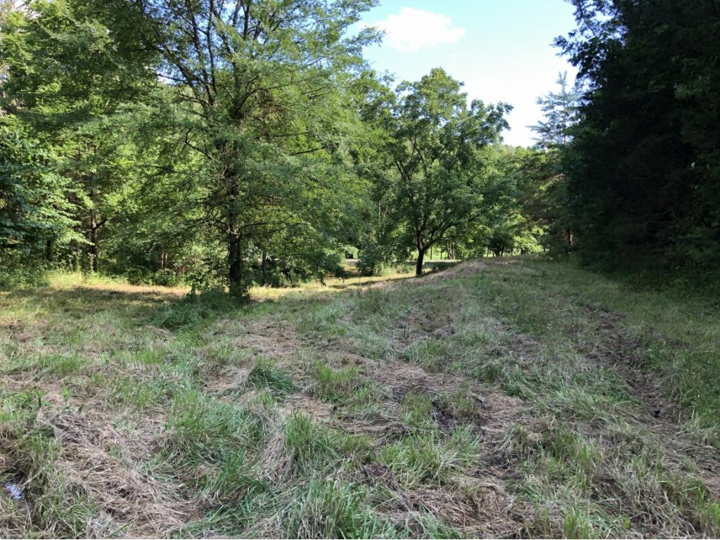 0 Long Creek Road Del Rio, TN 37727 - Photo 12 of 24 Photo 12
