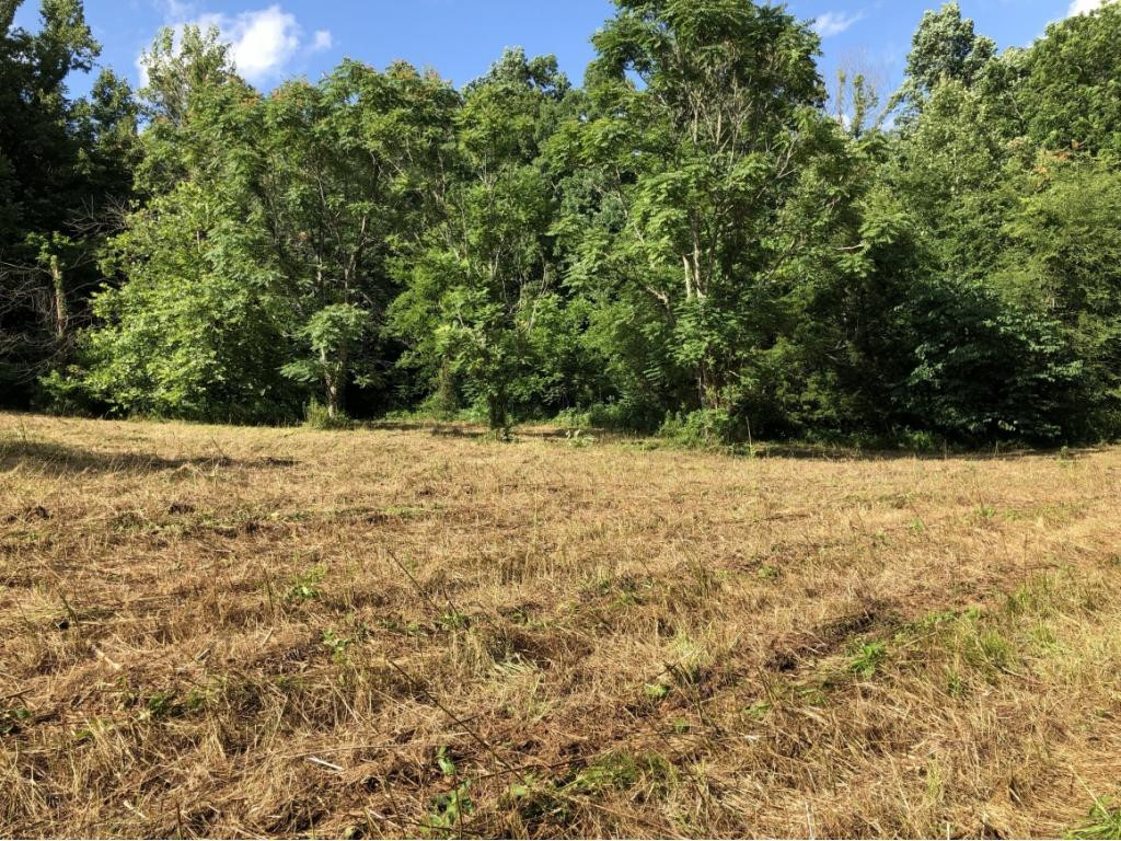 0 Long Creek Road Del Rio, TN 37727 - Photo 17 of 24 Photo 17