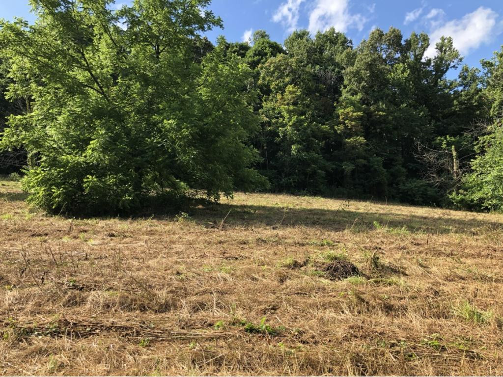 0 Long Creek Road Del Rio, TN 37727 - Photo 18 of 24 Photo 18