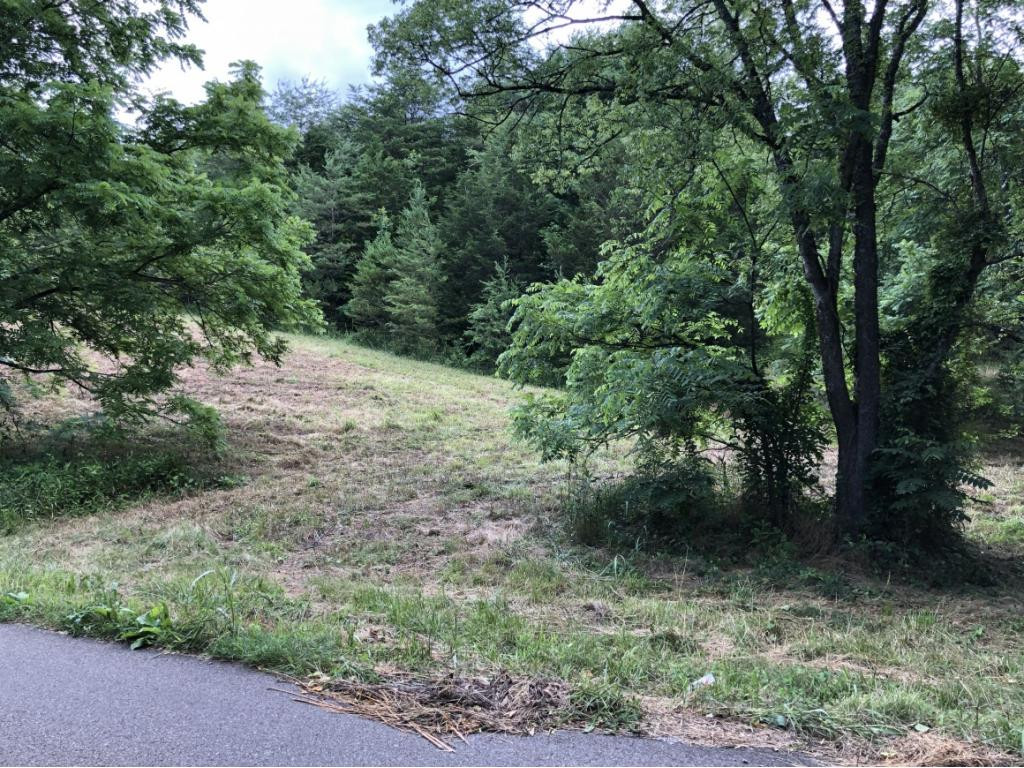 0 Long Creek Road Del Rio, TN 37727 - Photo 2 of 24 Photo 2