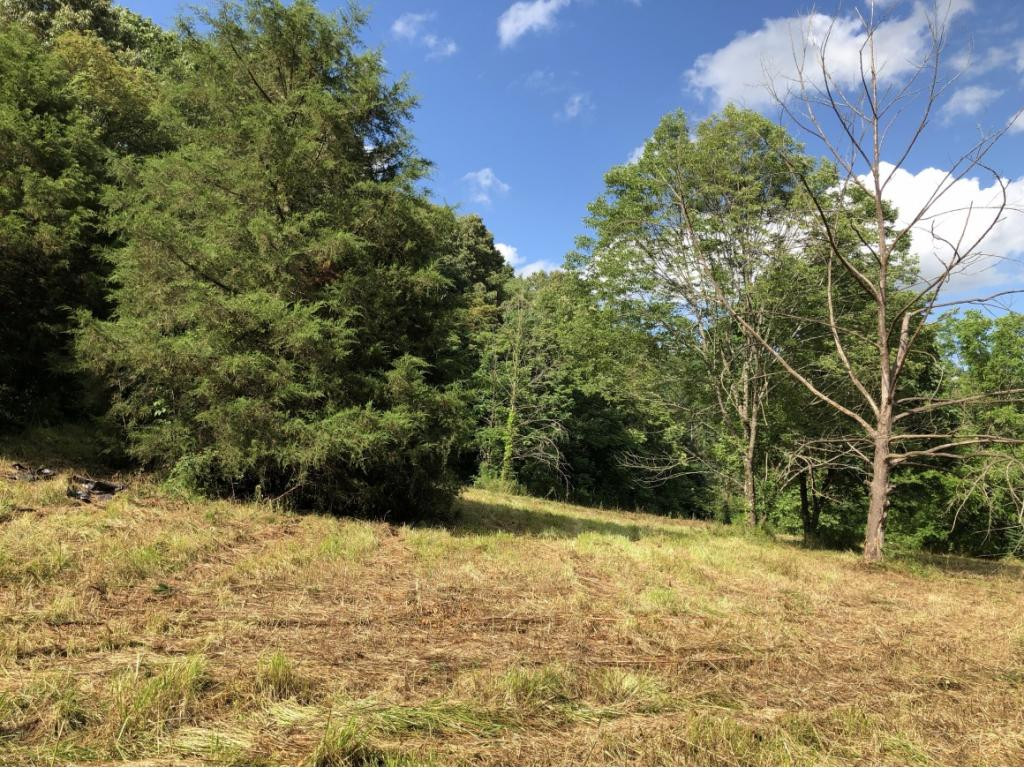 0 Long Creek Road Del Rio, TN 37727 - Photo 21 of 24 Photo 21