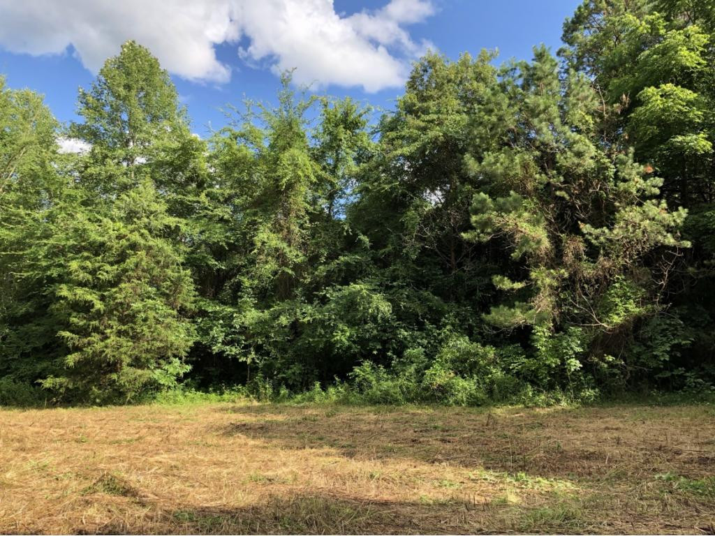 0 Long Creek Road Del Rio, TN 37727 - Photo 23 of 24 Photo 23