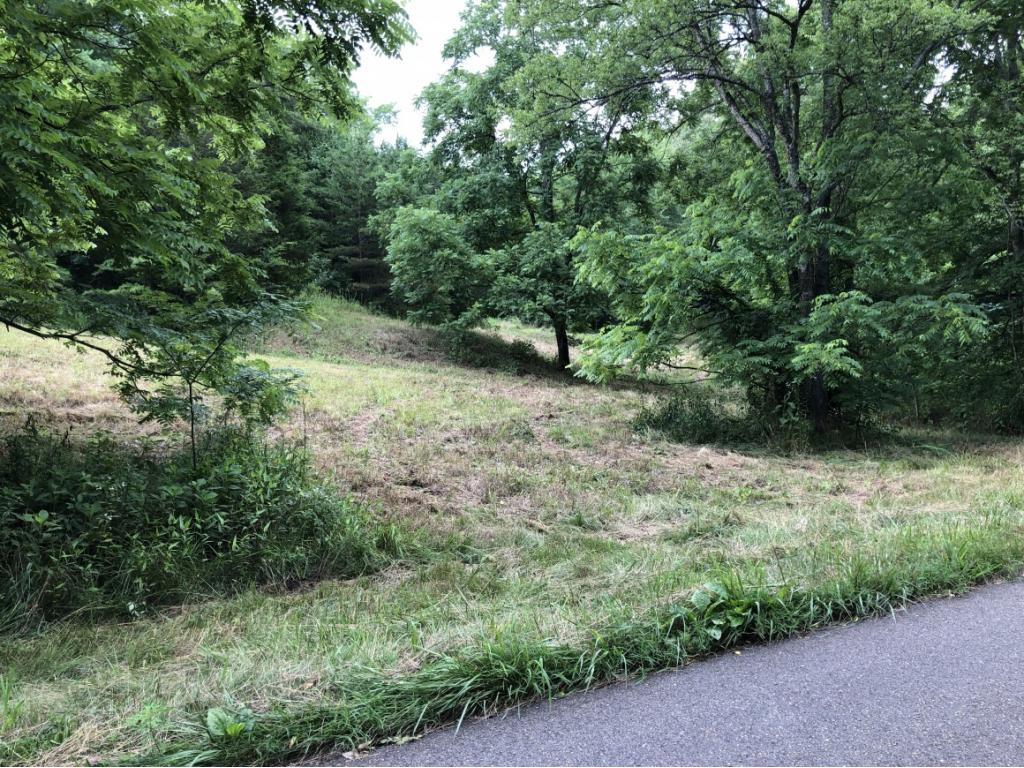 0 Long Creek Road Del Rio, TN 37727 - Photo 3 of 24 Photo 3