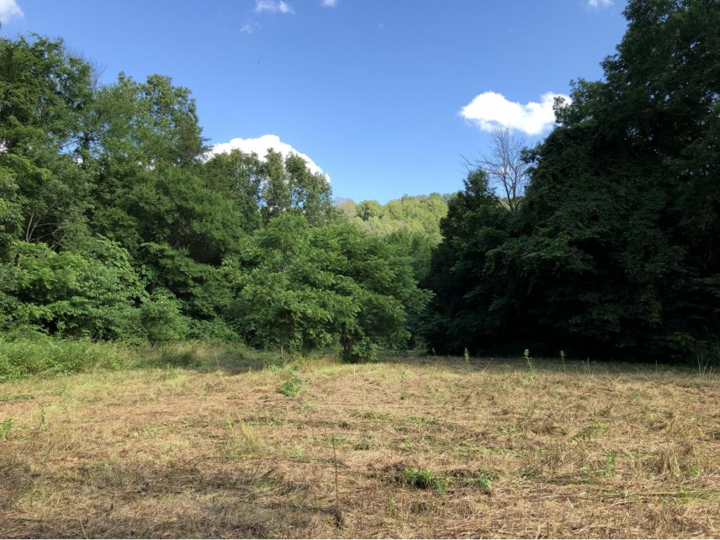 0 Long Creek Road Del Rio, TN 37727 - Photo 8 of 24 Photo 8