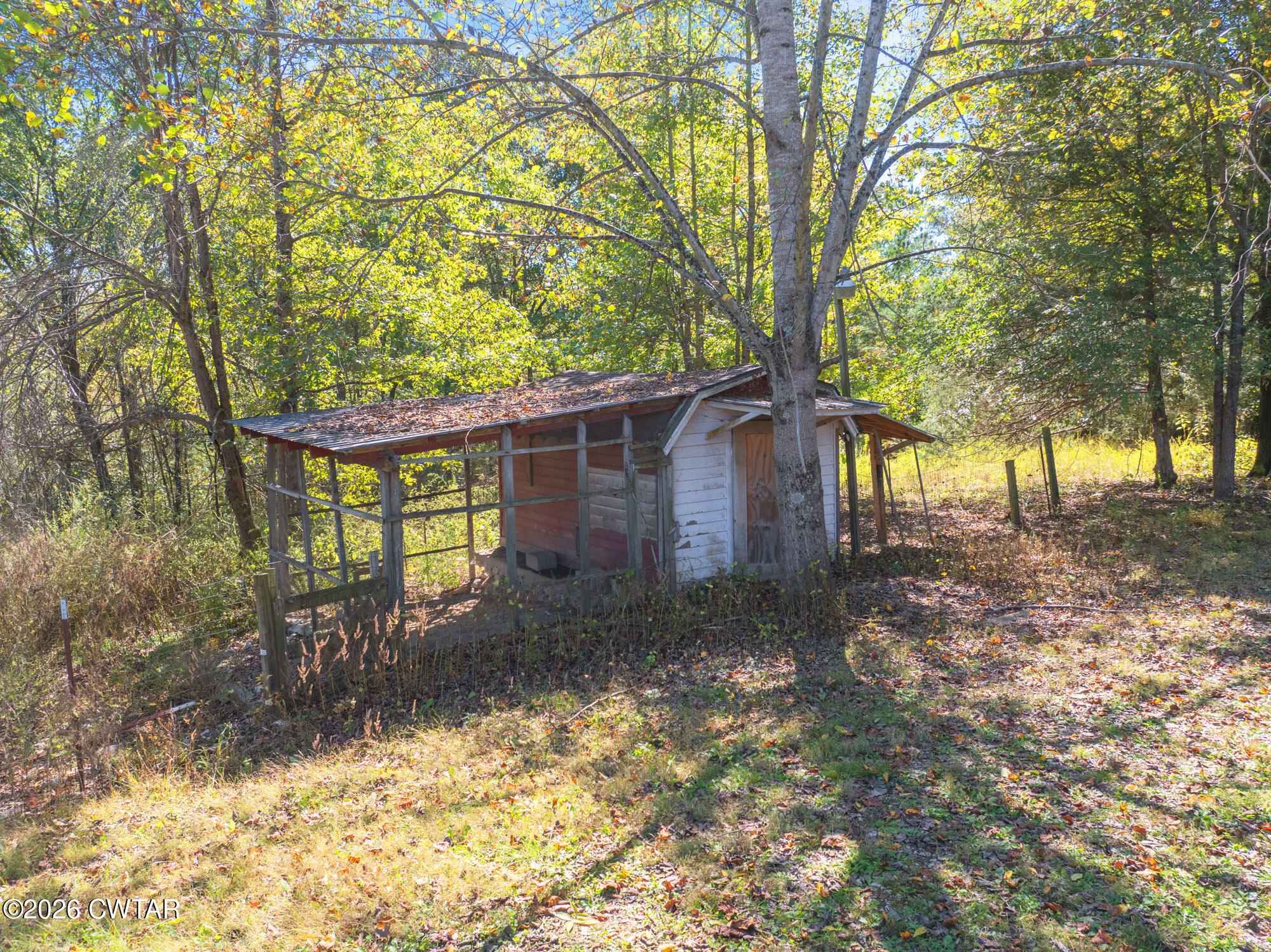 101 Red Ribbon Road Westport, TN 38387 - Photo 5 of 51 a view of a house with a tree in the yard