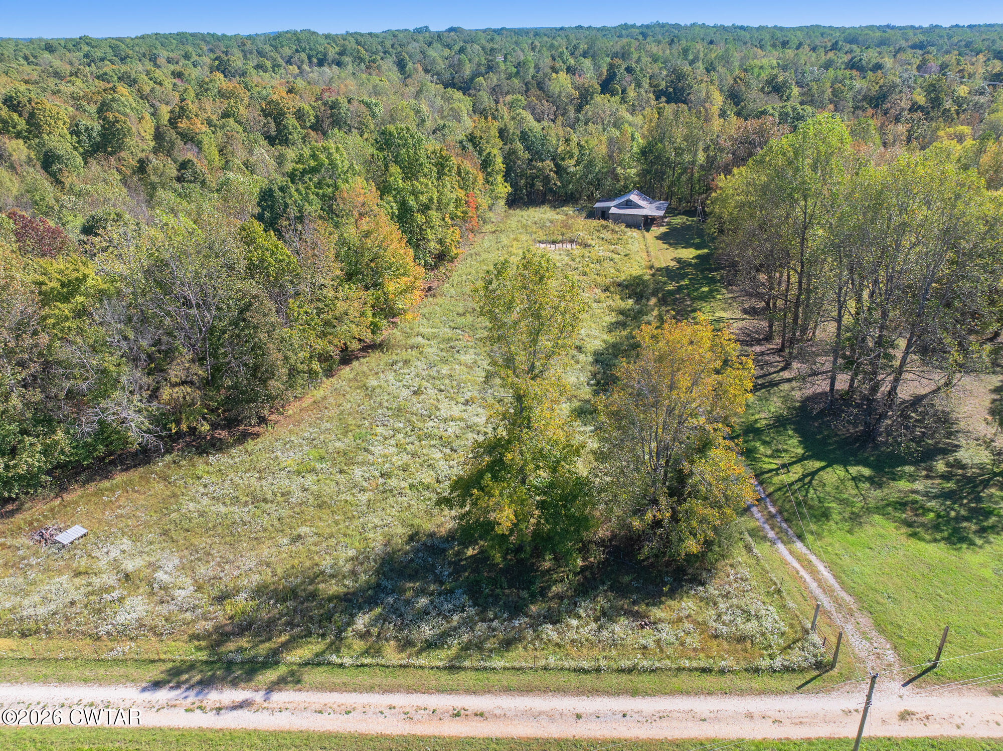 101 Red Ribbon Road Westport, TN 38387 - Photo 51 of 51 a view of a yard