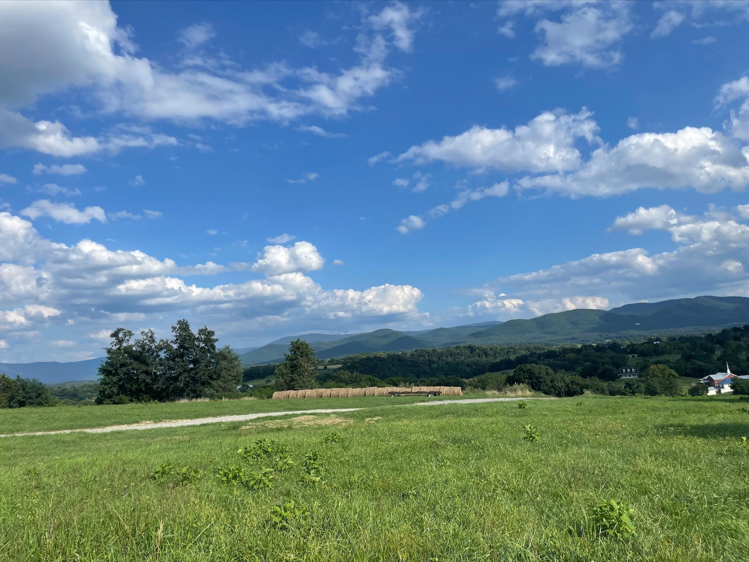 Off Off Galloway Spring Lane Shenandoah, VA 22849 - Photo 2 of 13 Gallery Image 2