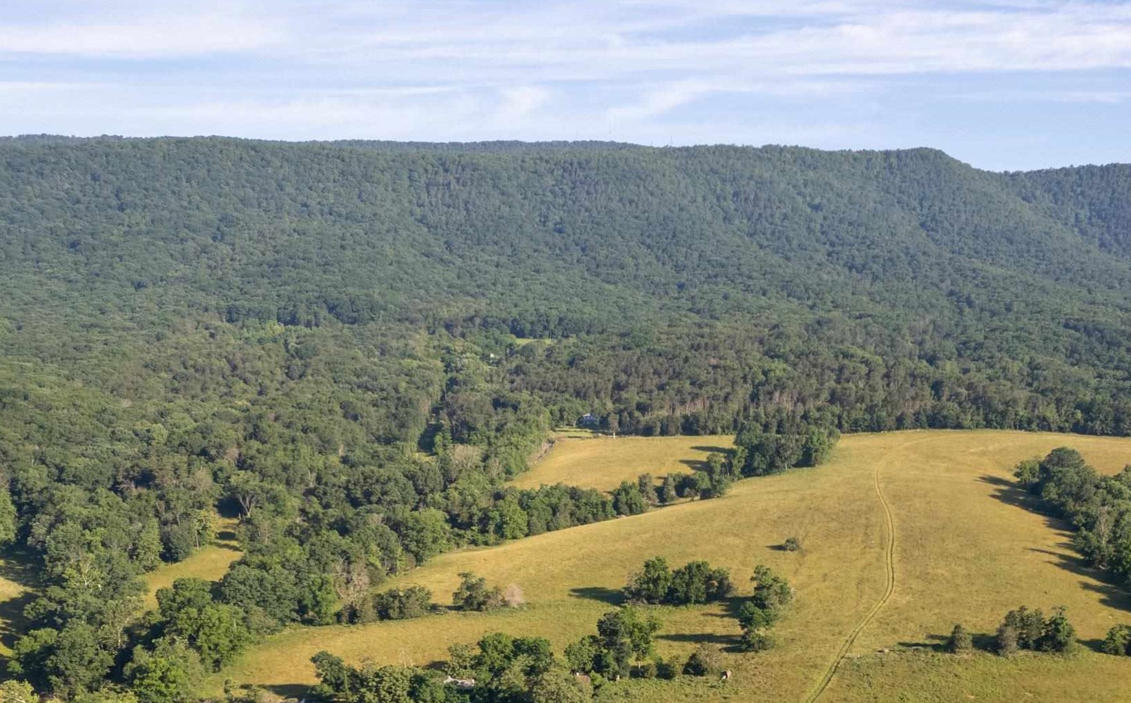 Off Off Galloway Spring Lane Shenandoah, VA 22849 - Photo 10 of 13 Gallery Image 10