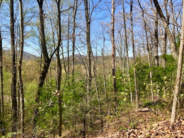 5056 Long Rifle Road Walland, TN 37886 - Photo 14 of 23 Gallery Image 14