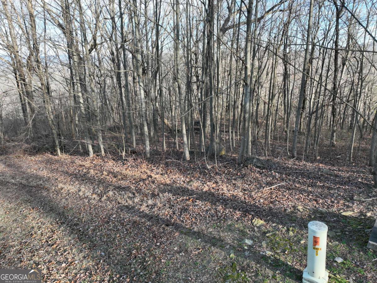275 Andes Ridge Talking Rock, GA 30175 - Photo 11 of 22 a view of backyard with green space