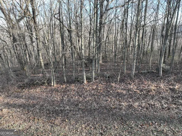 a view of a dry yard