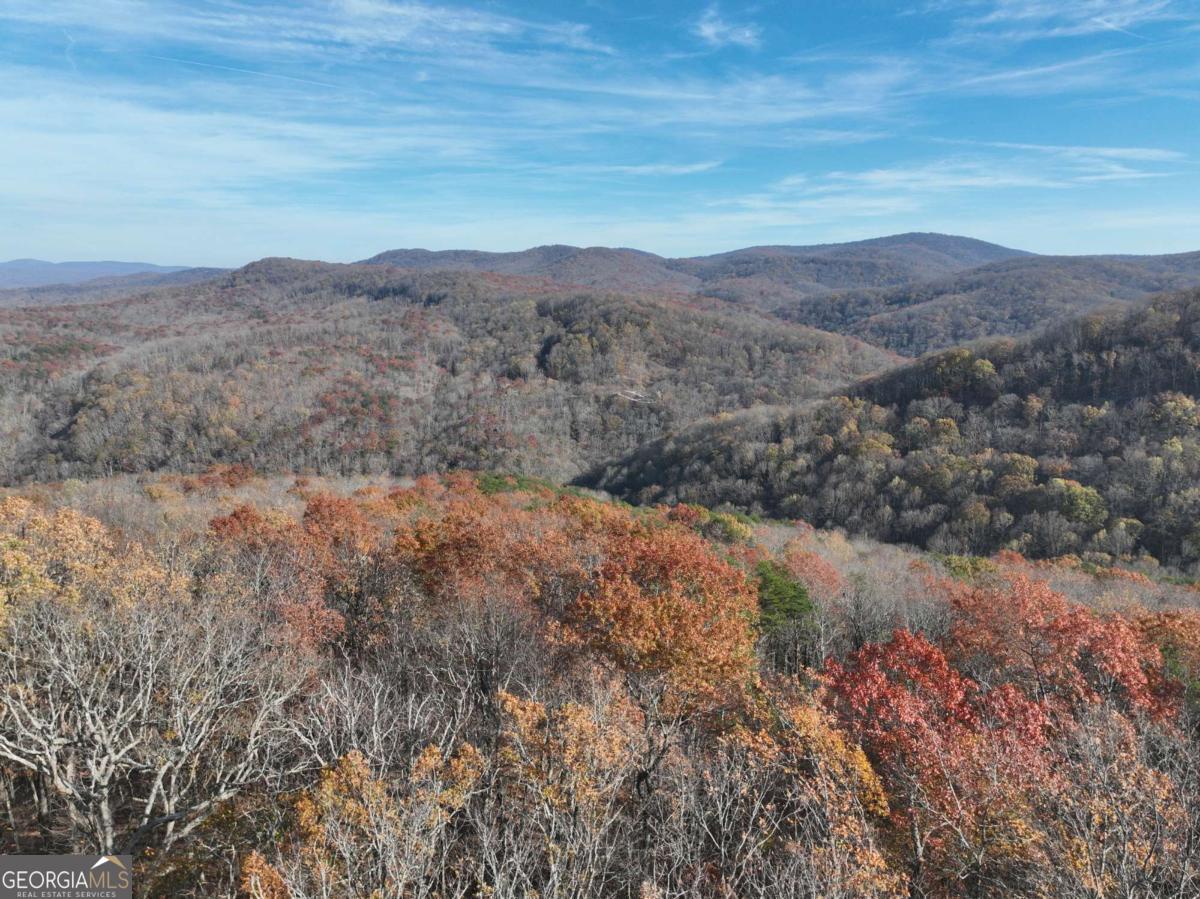 275 Andes Ridge Talking Rock, GA 30175 - Photo 15 of 22 a view of mountains and valleys
