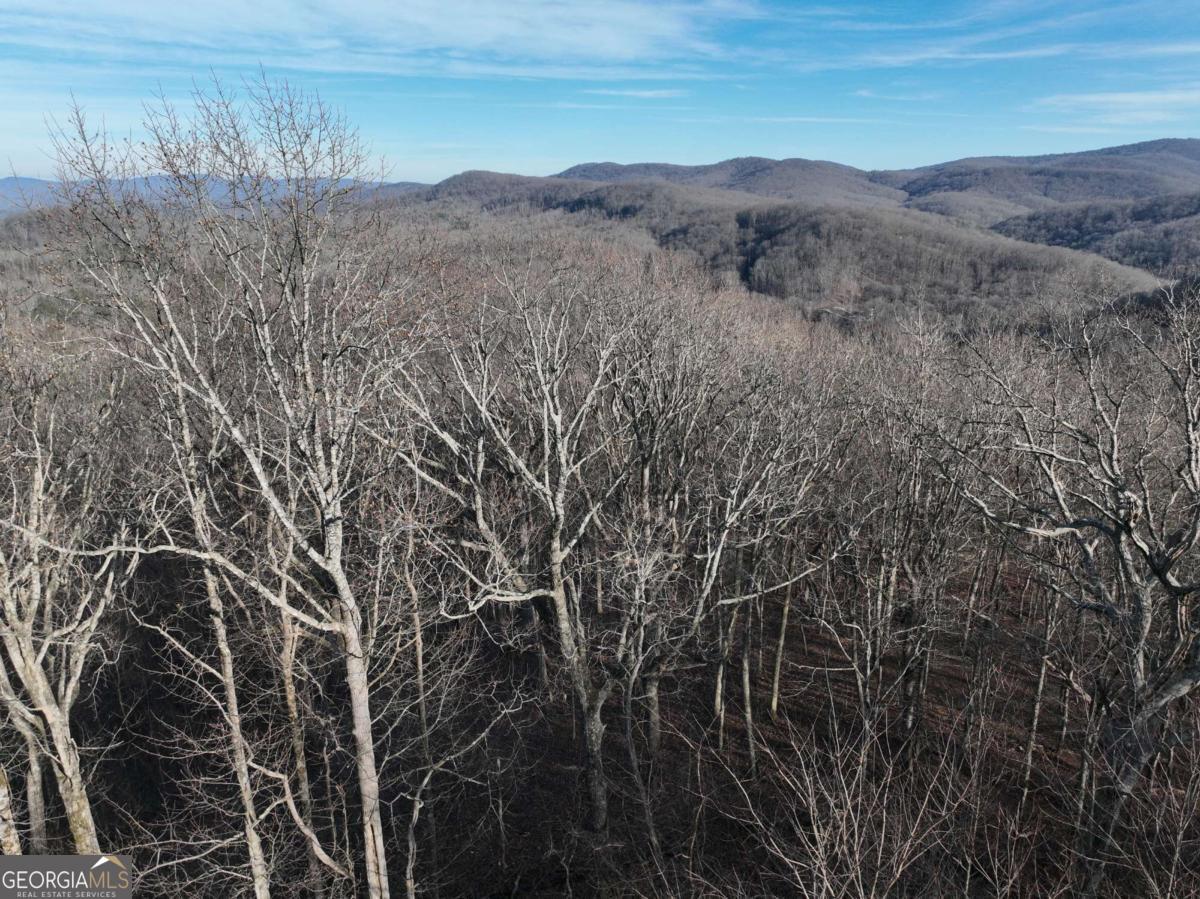 275 Andes Ridge Talking Rock, GA 30175 - Photo 16 of 22 a view of a dry yard with green space