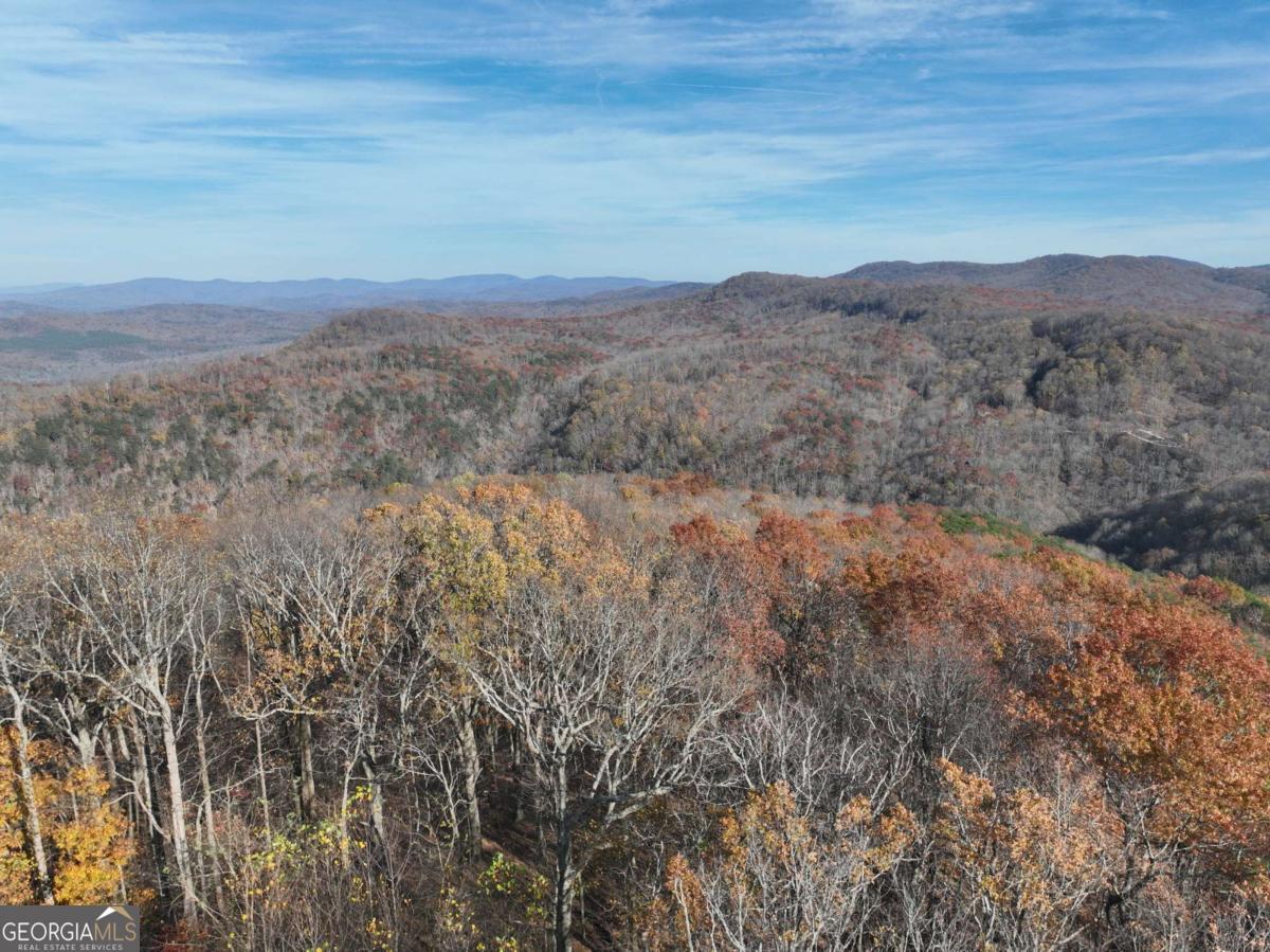 275 Andes Ridge Talking Rock, GA 30175 - Photo 17 of 22 a view of mountain view with lots of trees