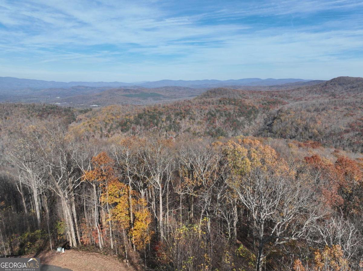 275 Andes Ridge Talking Rock, GA 30175 - Photo 18 of 22 a view of a city with lush green forest