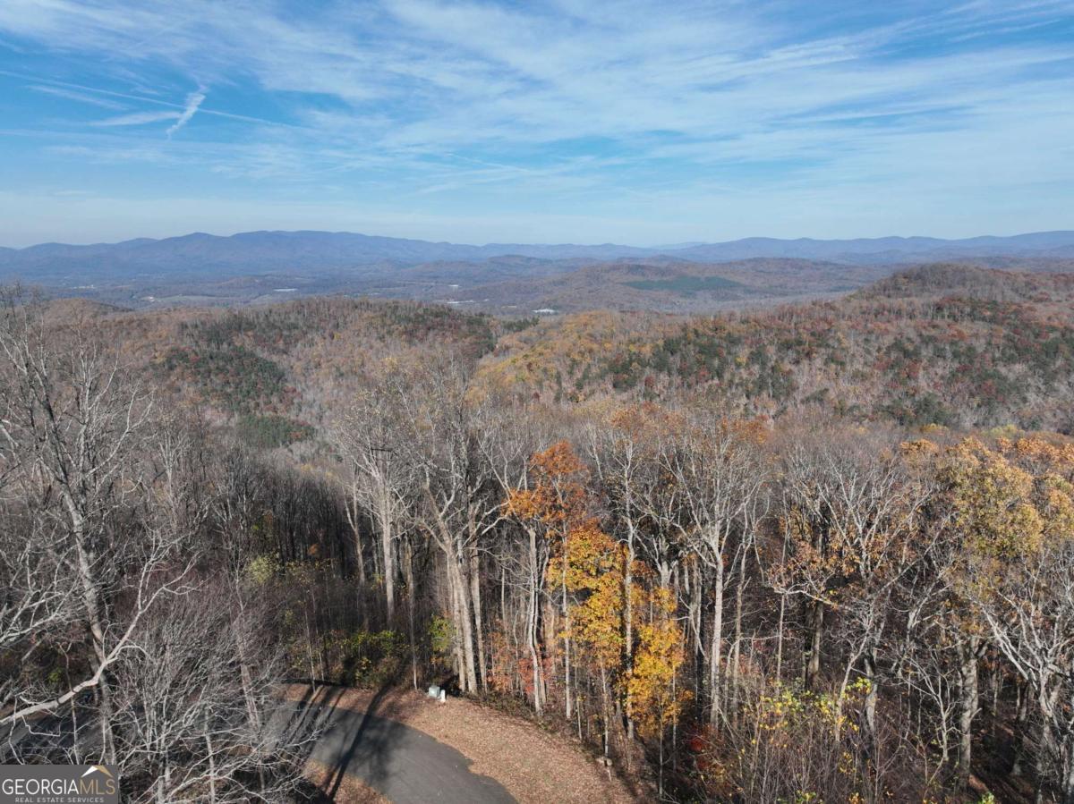 275 Andes Ridge Talking Rock, GA 30175 - Photo 19 of 22 a view of a city with lush green forest