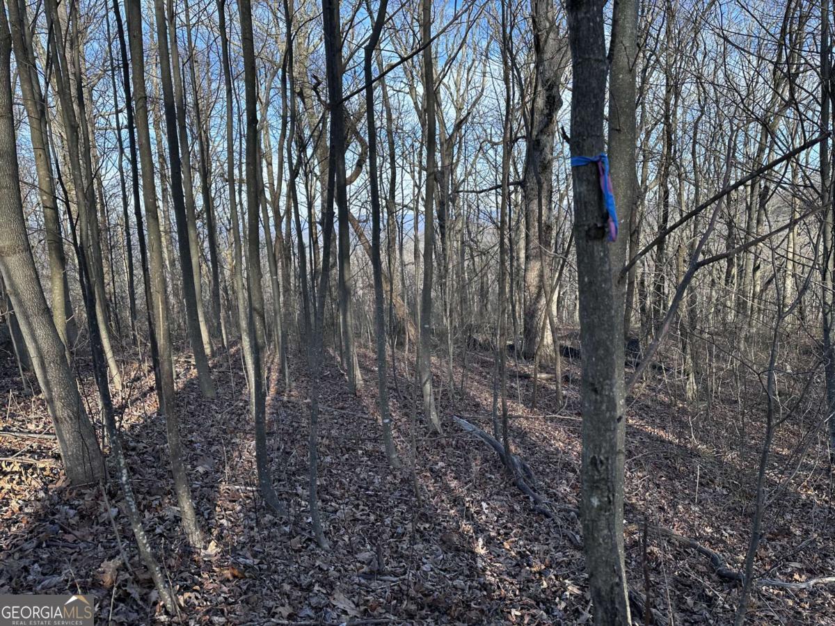 275 Andes Ridge Talking Rock, GA 30175 - Photo 5 of 22 a view of a backyard