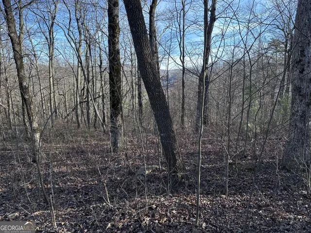 a view of outdoor space with deck and yard