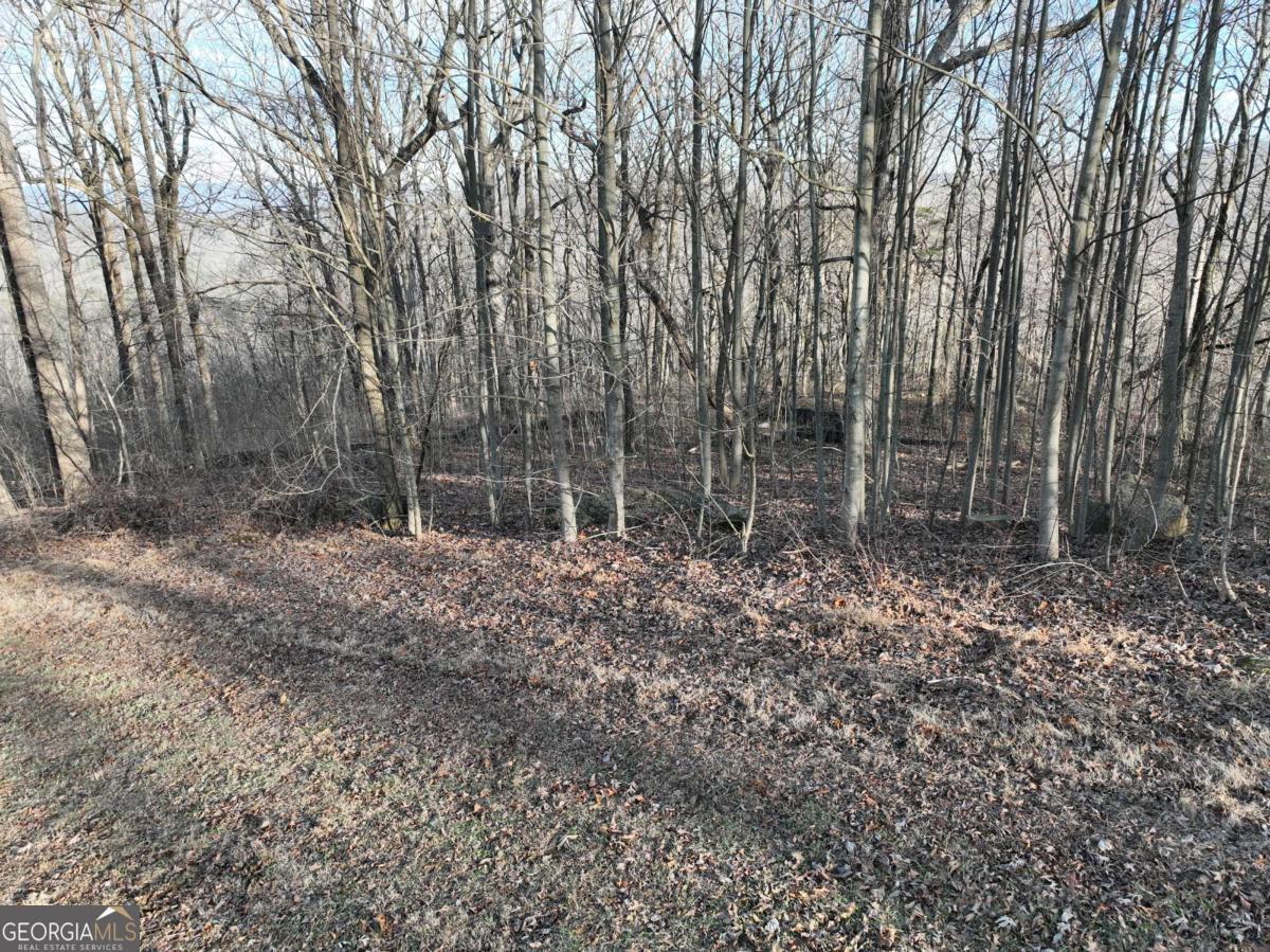 275 Andes Ridge Talking Rock, GA 30175 - Photo 9 of 22 a backyard of a house with lots of green space