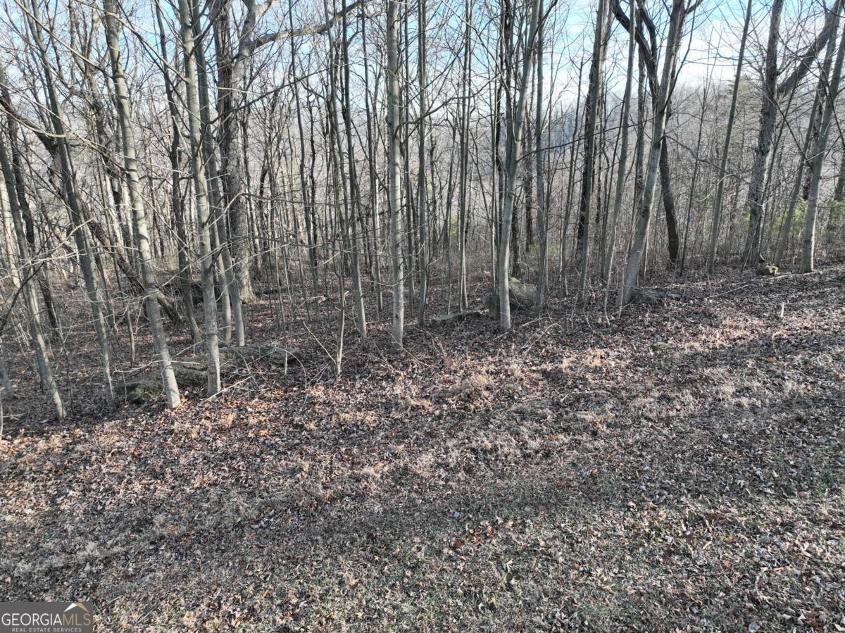 275 Andes Ridge Talking Rock, GA 30175 - Photo 10 of 22 a view of a yard with large trees