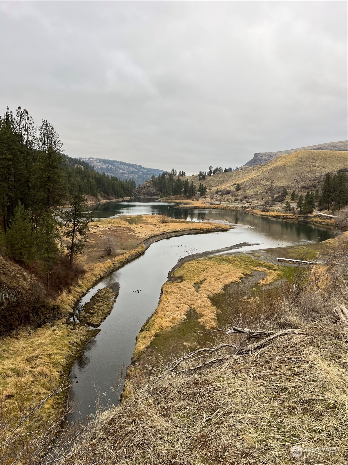 0 Miles Creston Road North, Unit LOT 7 Davenport, WA 99122 - Photo 12 of 16 a view of an ocean and beach
