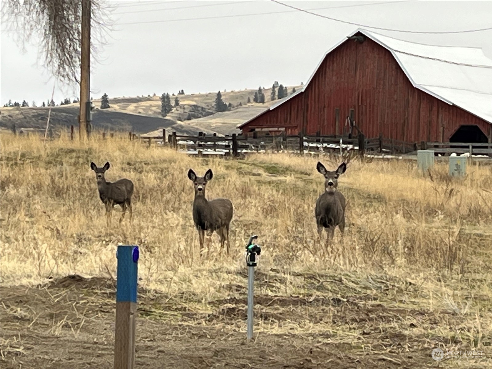 0 Miles Creston Road North, Unit LOT 7 Davenport, WA 99122 - Photo 7 of 16 a view of swimming pool with a yard