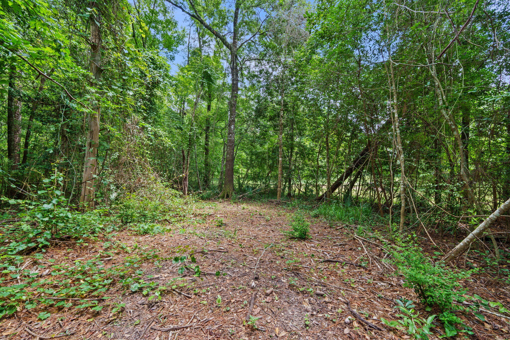 92 Howell Bluff Road Ponce de Leon, FL 32455 - Photo 34 of 41 35-web-or-mls-92 howell-37