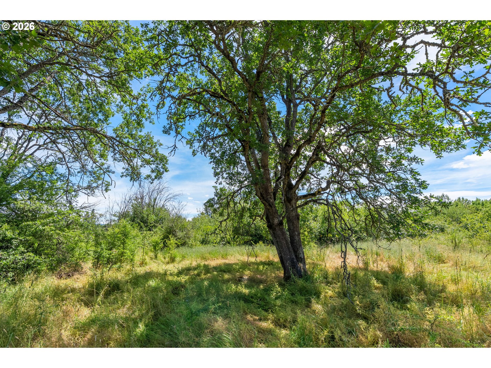 1810 Carter Road Hood River, OR 97031 - Photo 14 of 24