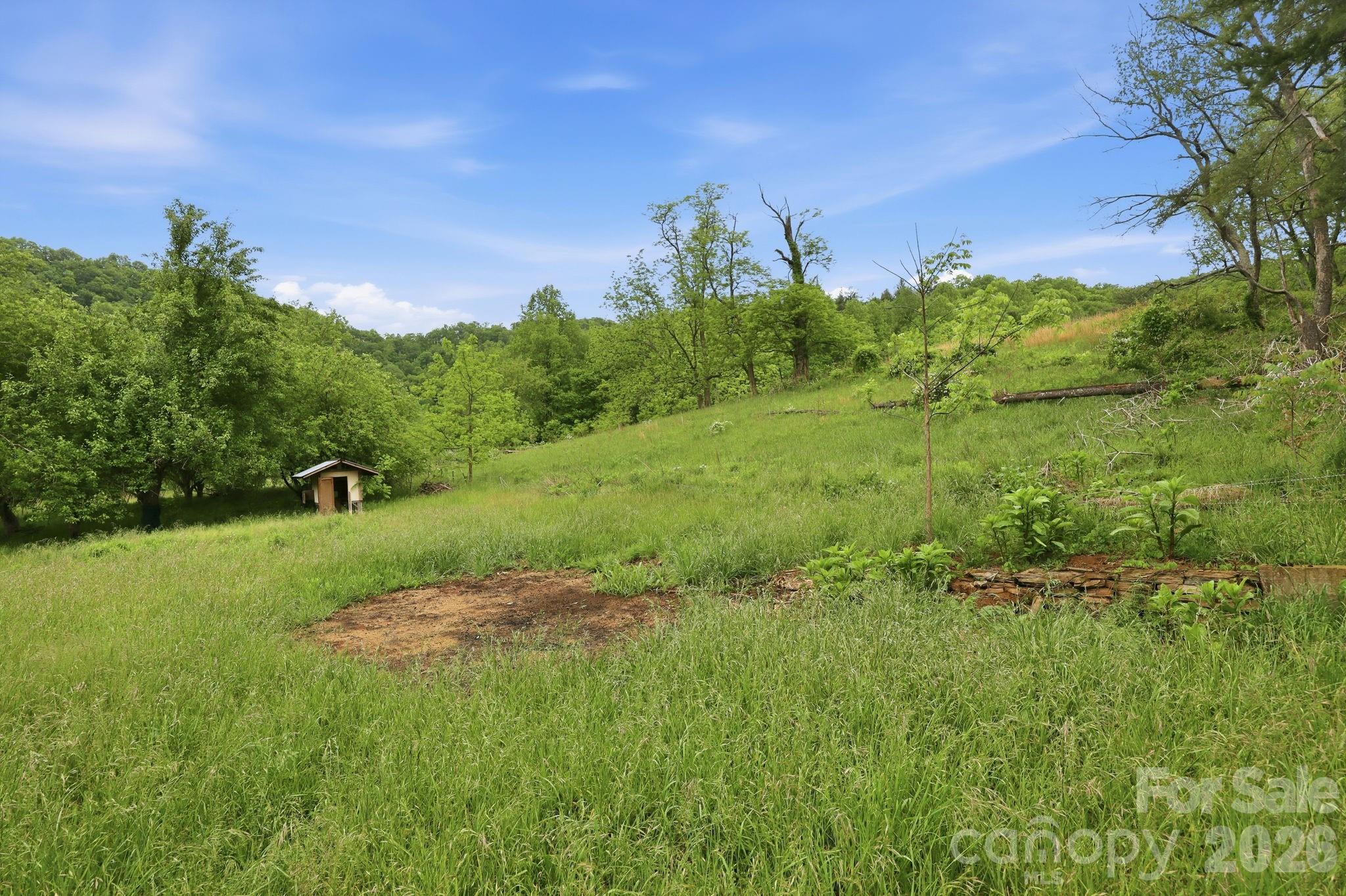 250 Potato Branch Road Leicester, NC 28748 - Photo 44 of 48