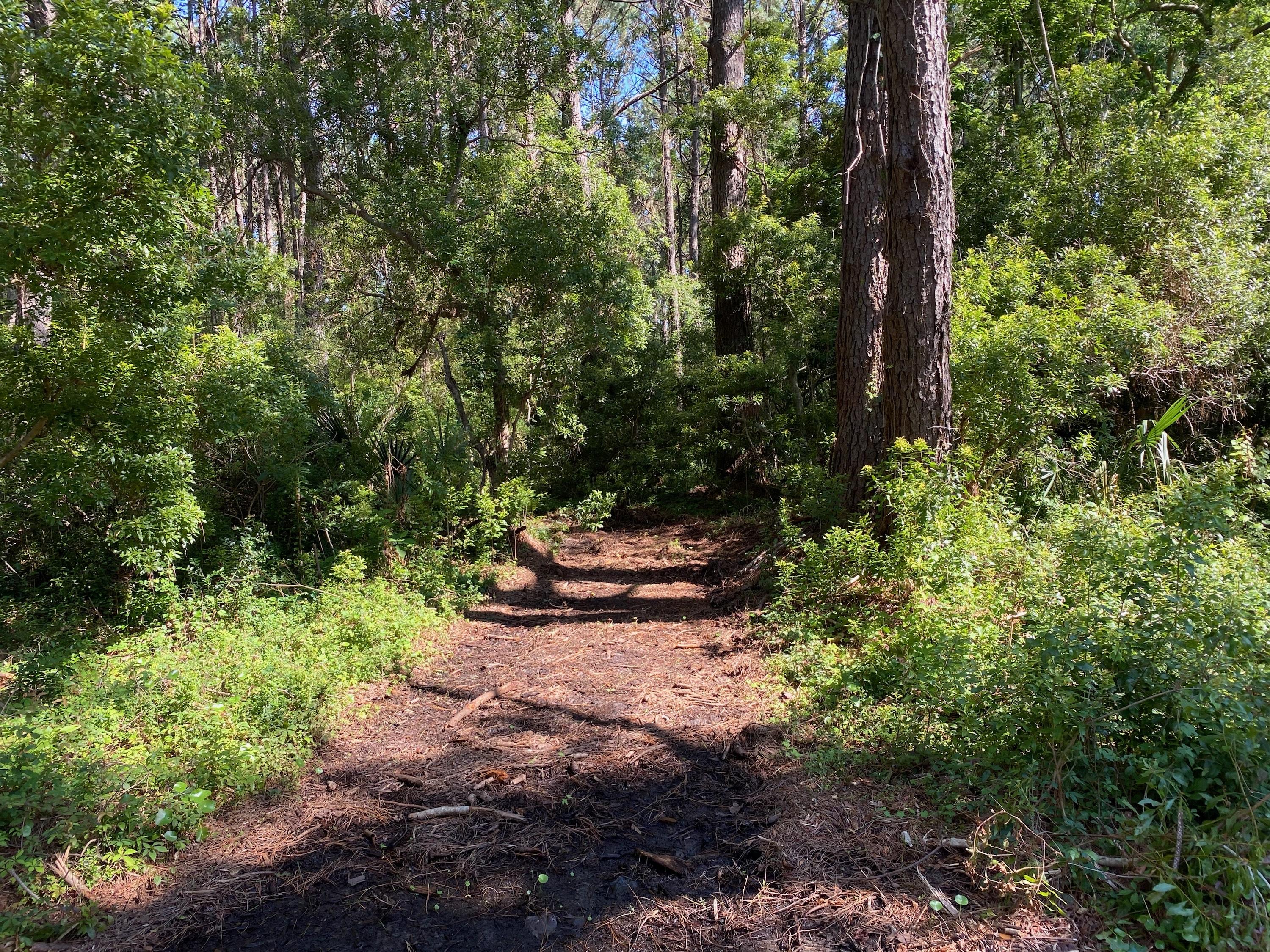 23 Longmarsh Road Awendaw, SC 29429 - Photo 13 of 41 Path to the Water