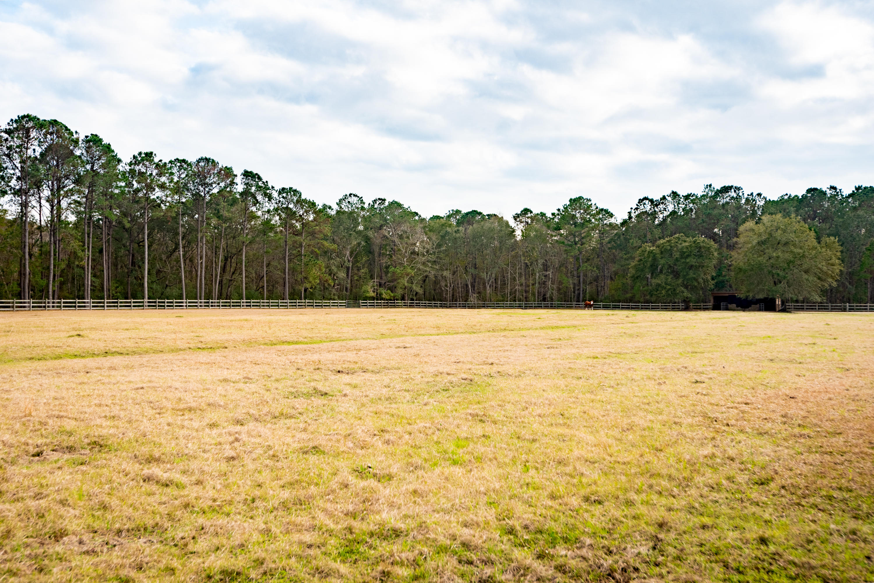 23 Longmarsh Road Awendaw, SC 29429 - Photo 40 of 41 Equestrian Facilities