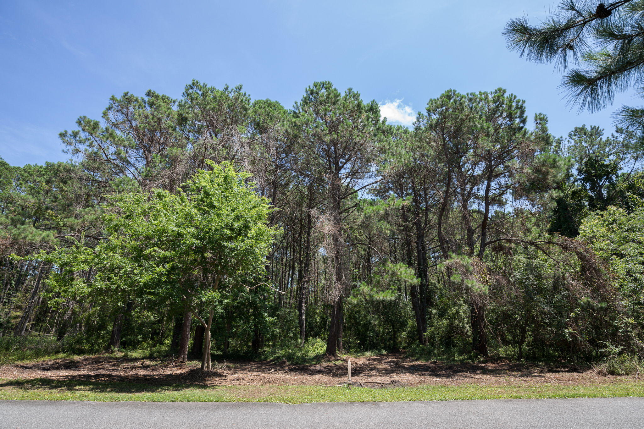 23 Longmarsh Road Awendaw, SC 29429 - Photo 5 of 41 Lot