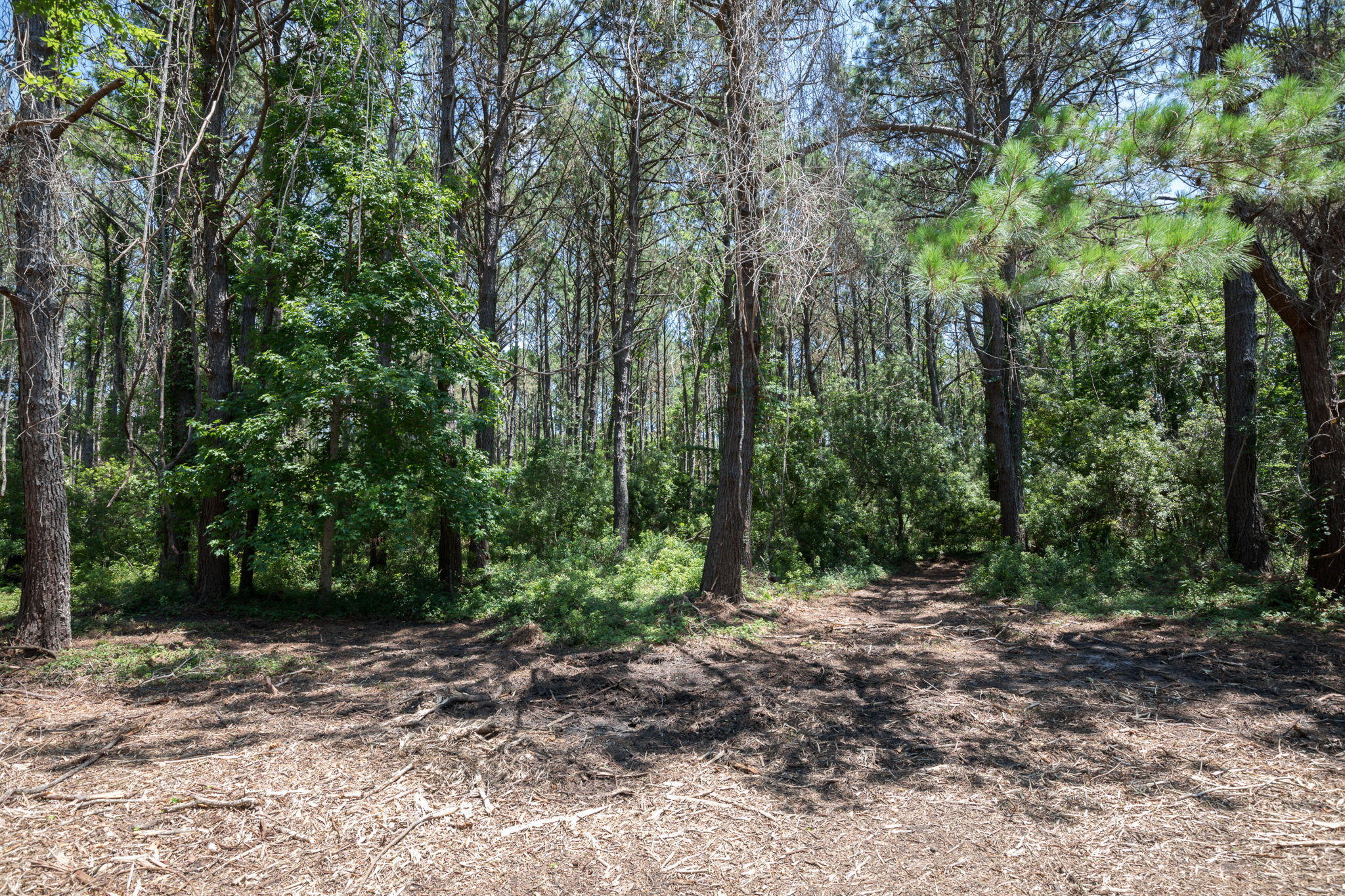 23 Longmarsh Road Awendaw, SC 29429 - Photo 7 of 41 Lot