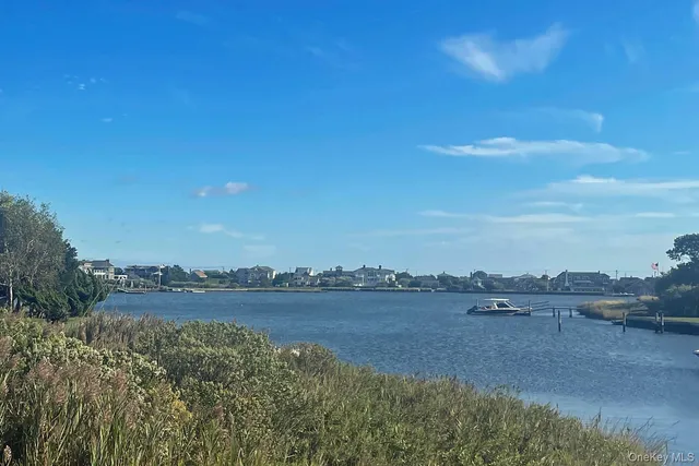 a view of a lake with houses in the back