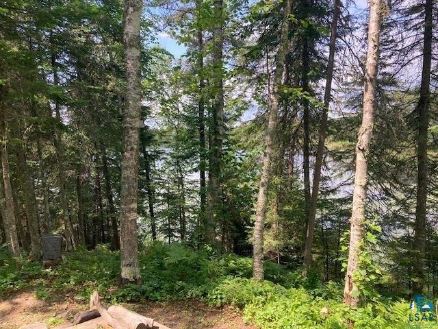 11919 Luna Lake Road Side Lake, MN 55781 - Photo 16 of 23